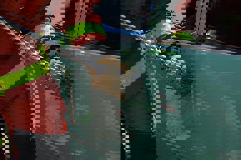 Crash of Supercar Leads to Discovery of £1.2 Million Stash